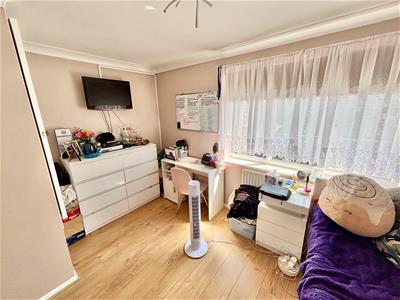 Picture 11